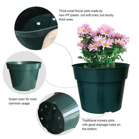 RooTrimmer 50-pack green plant pots for batch planting.