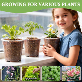 RooTrimmer seed-starting pots ideal for herbs, flowers, and succulents.