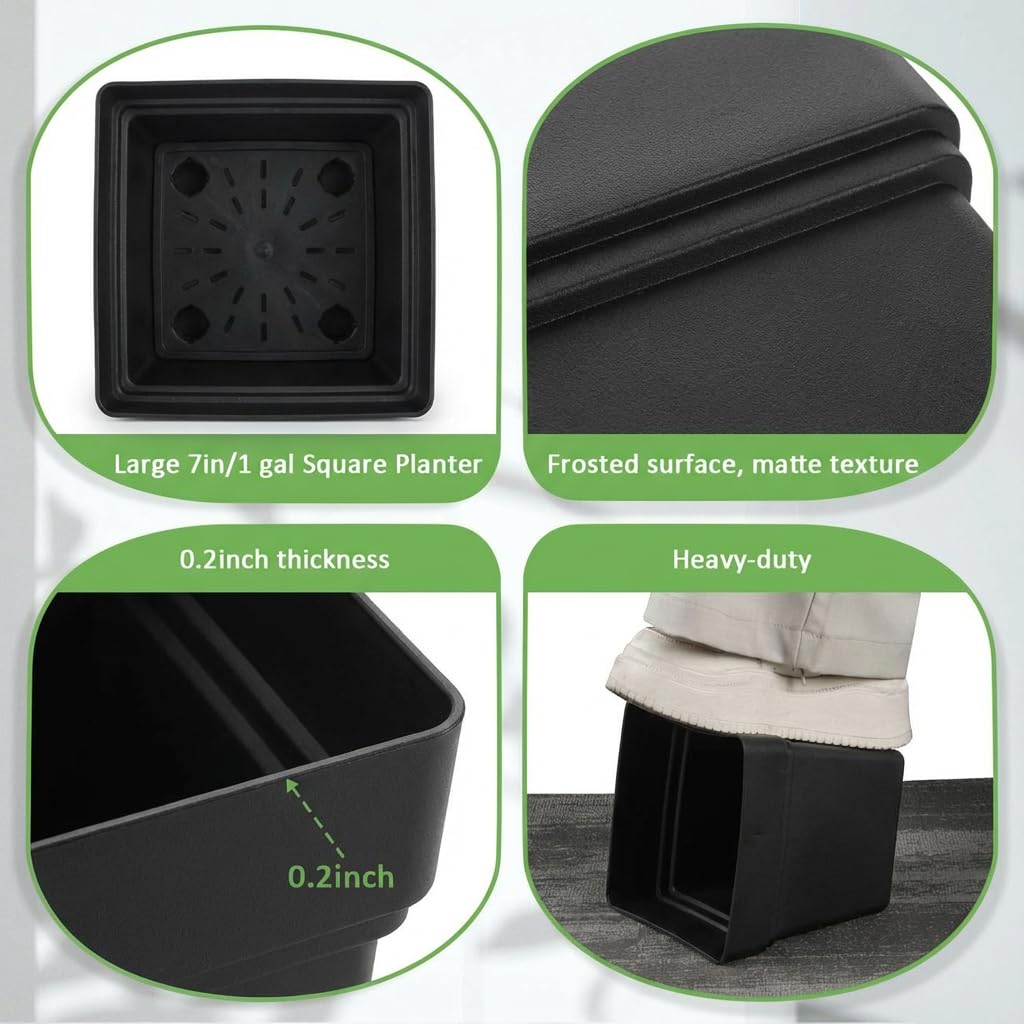RooTrimmer planter with drainage hole and detachable bottom plug minimizes mess.