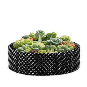 RooTrimmer plants growing in bed air pruned enhances air flow