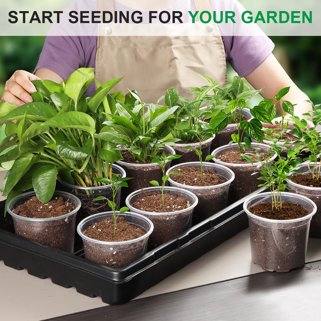 RooTrimmer plastic seedling pot is easy to clean and reuse.