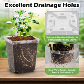 RooTrimmer pot designed to fit standard 1020 seedling trays