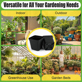 RooTrimmer pots for cuttings and succulents suitable for propagation