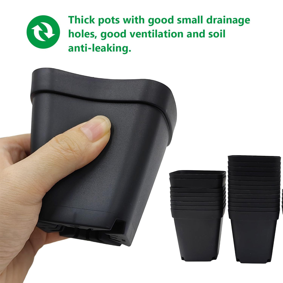 RooTrimmer propagation pot for succulents and small plants