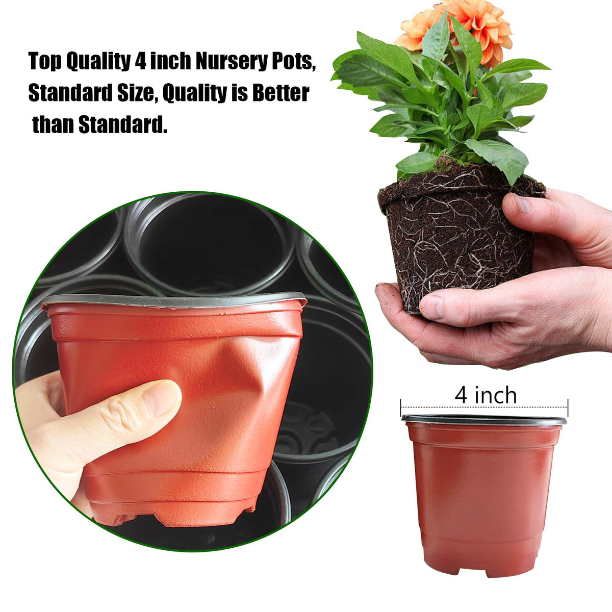 RooTrimmer round modern design pots add style to seed starting setup