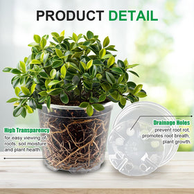 RooTrimmer seed starter pot features a sturdy design for reusable germination cycles.