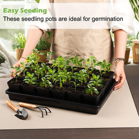RooTrimmer seed-start tray system saves time moving seedlings