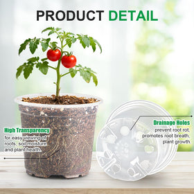 RooTrimmer seed starter pot clear view for early stage germination