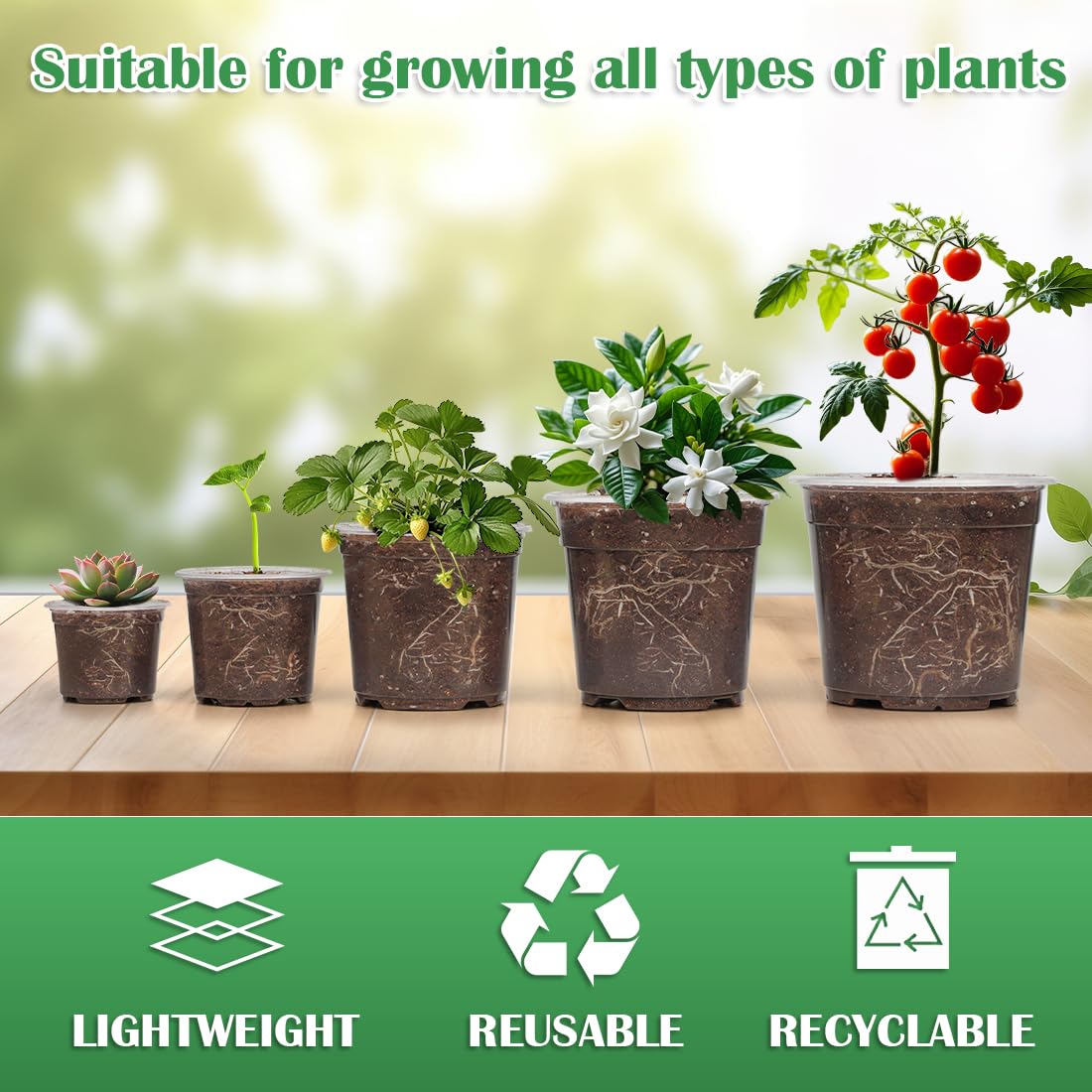 RooTrimmer seed starter pot multi-pack enhances visibility and drainage for seedlings.