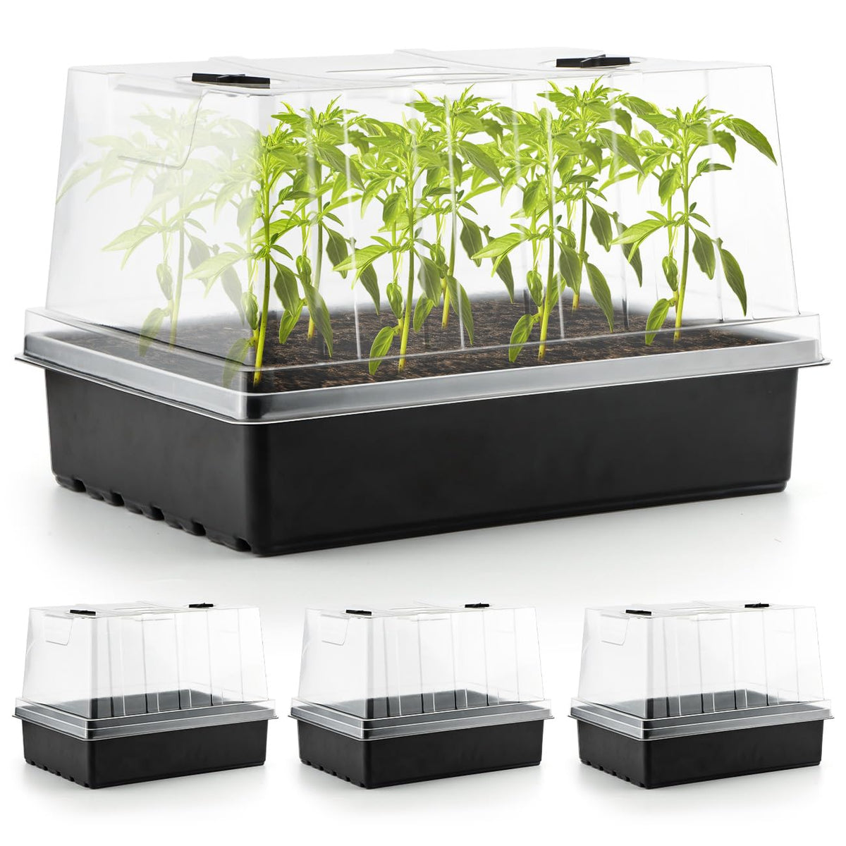 RooTrimmer seed starter tray with 5-inch dome for strong, protected seedlings.