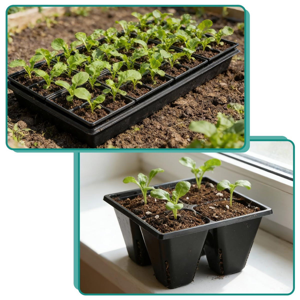 RooTrimmer seed starter tray in black for garden setups