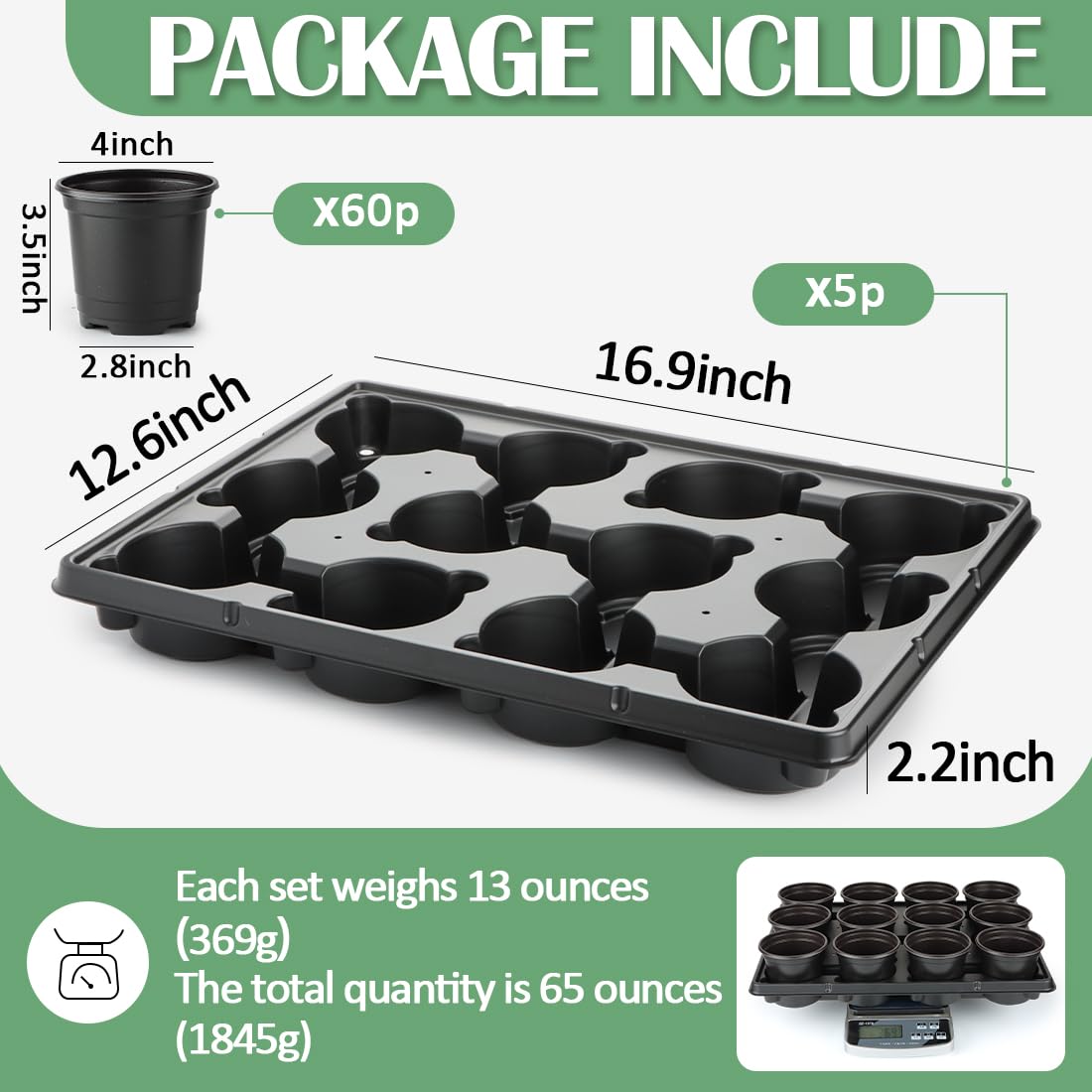 RooTrimmer seed-starter tray empty for planning germination.