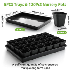 RooTrimmer seed starter trays 5-pack for easy seedling transport