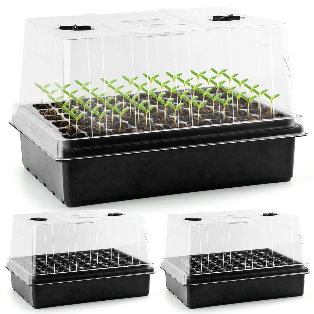 RooTrimmer seed starter trays with a clear 5in dome for monitoring growth