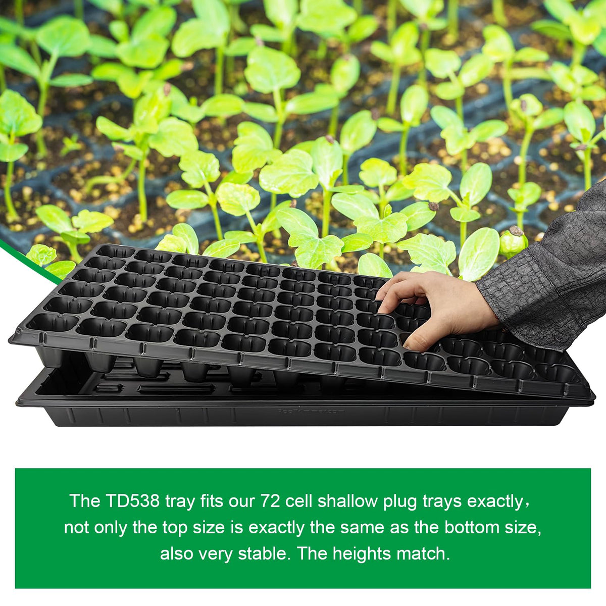 RooTrimmer seed starter set with TD538 tray and plugs