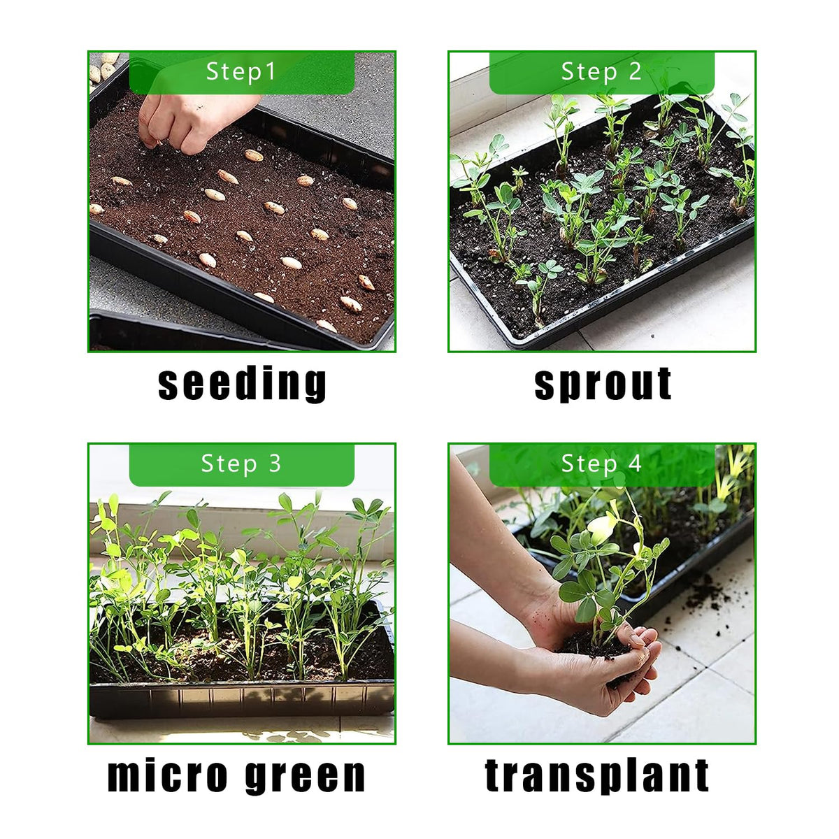 RooTrimmer seed starting pot holders keep soil contained and organized