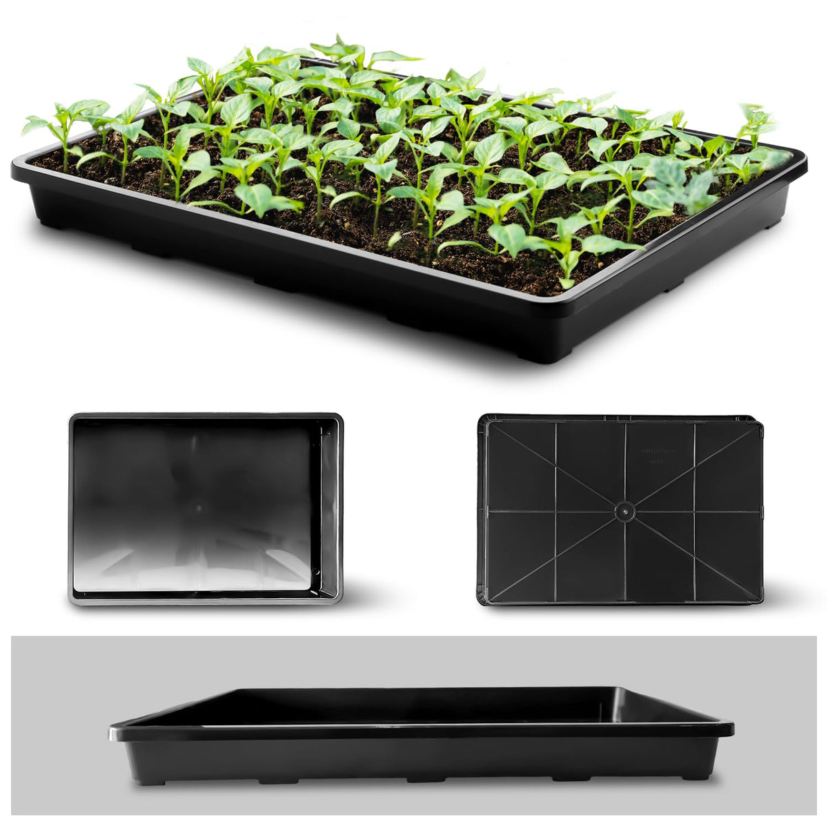 RooTrimmer seed-starting tray supports seedlings and microgreens with ample space.