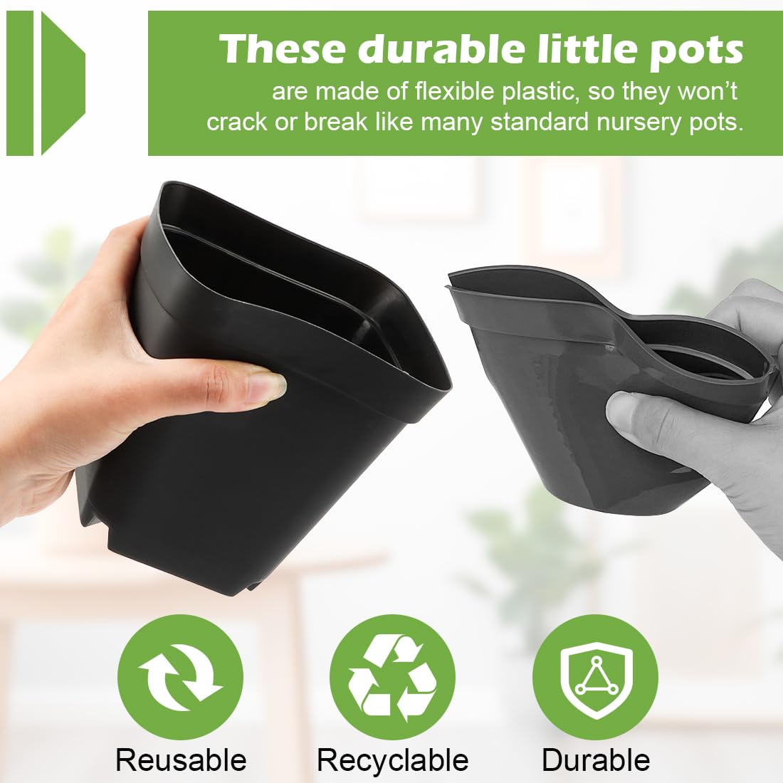RooTrimmer seedling-in-pot setup for indoor-to-outdoor growth