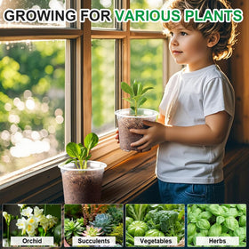RooTrimmer seedling pot supports germination in small spaces.