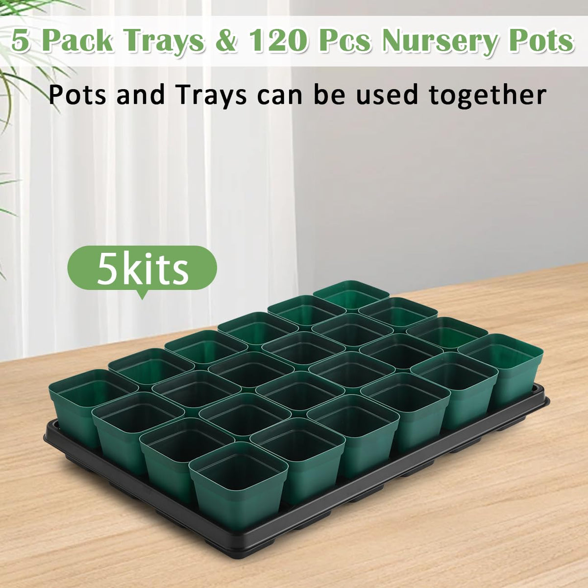 RooTrimmer seedling pot detail with smooth edges for minimal root damage.