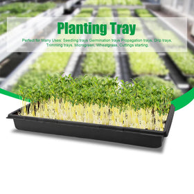RooTrimmer seedling transplanting tray for organized transfers