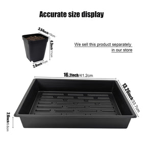 RooTrimmer seedling tray six-pack ideal for microgreens and herbs.