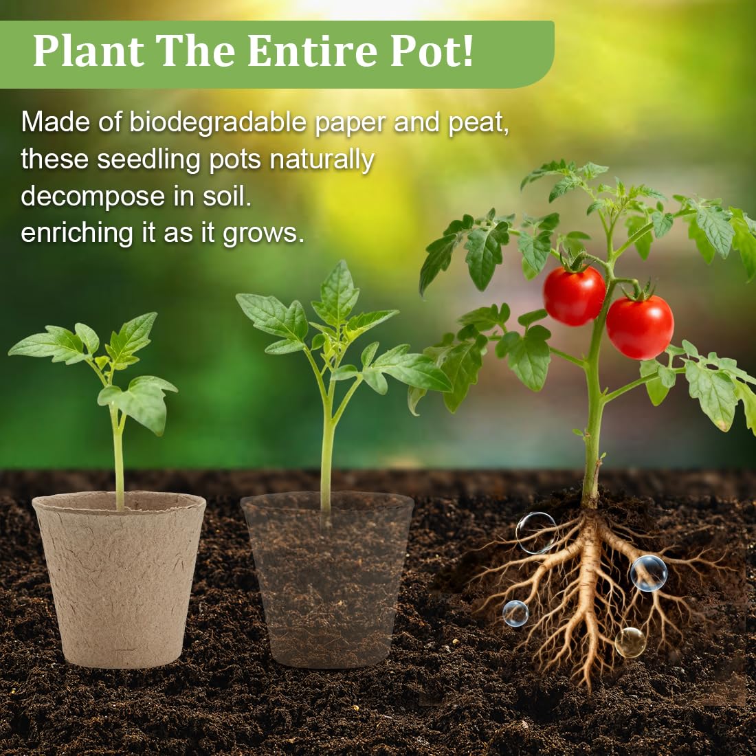 RooTrimmer 20-cell seedling trays with drainage for healthier root growth.