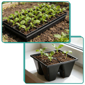 RooTrimmer simple seedling care and transplant workflow for busy gardeners.