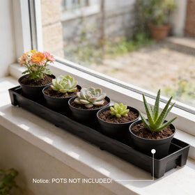 RooTrimmer six pots per saucer ideal for seed starting