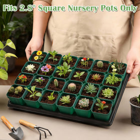 RooTrimmer smooth-surface trays are easy to clean and reuse.