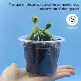 RooTrimmer soft-wall pot simplifies gentle transplant after germination.