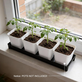 RooTrimmer space-saving design helps rearrange plants on shelves.