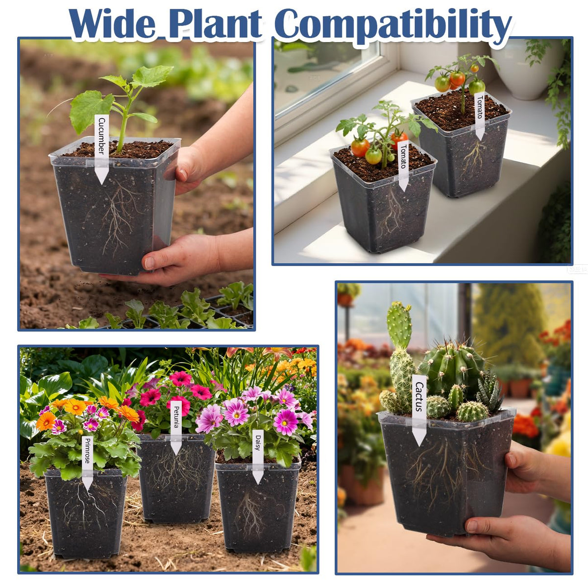 RooTrimmer space-saving square pot ideal for shelves and greenhouses