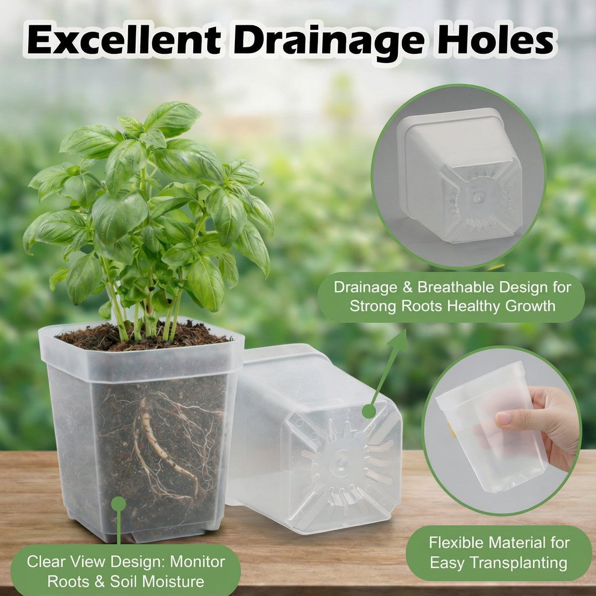 RooTrimmer square clear pot shows drainage holes for root aeration and drainage control.