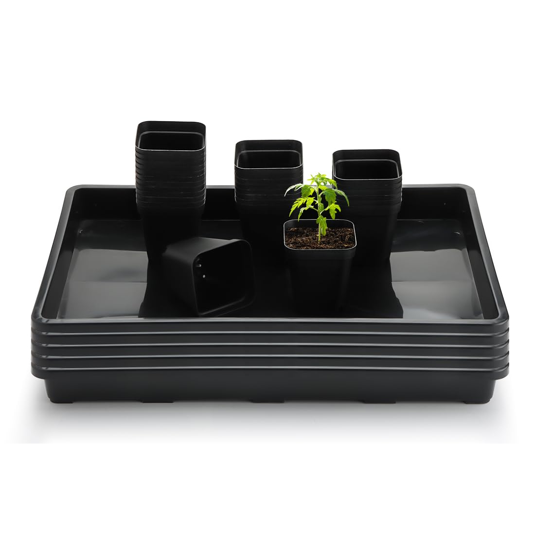 RooTrimmer square nursery pots with 120 pots for efficient seedling starts