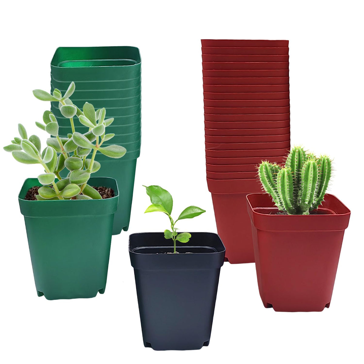 RooTrimmer square pot green with drainage holes for seedlings.