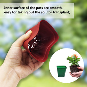 RooTrimmer square pot red color for color-coded seedling trays.