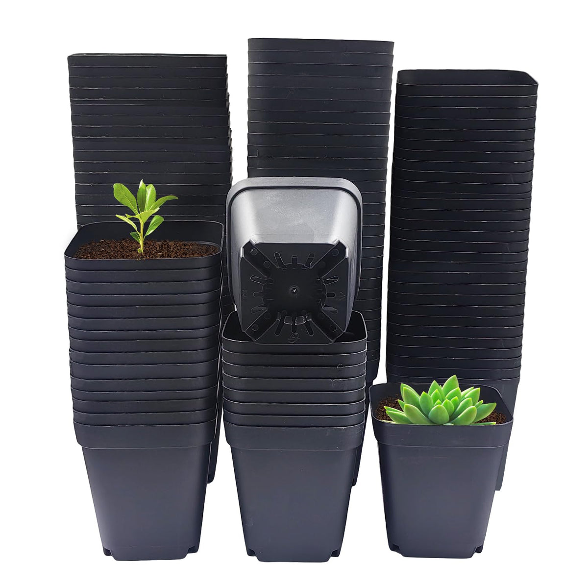 RooTrimmer square 3in black pot with drainage for seed starting