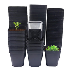 RooTrimmer square 3in black pot with drainage for seed starting