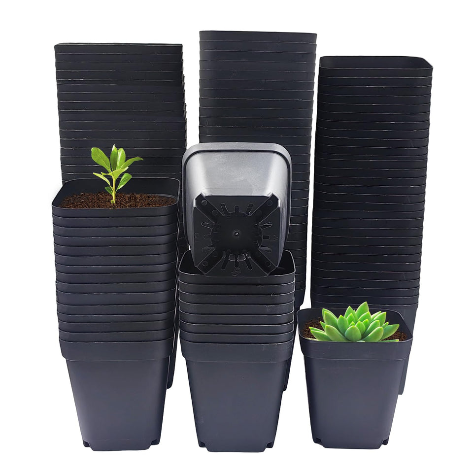 RooTrimmer square 3in black pot with drainage for seed starting