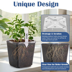 RooTrimmer square pot with drainage holes promotes airflow and prevents overwatering