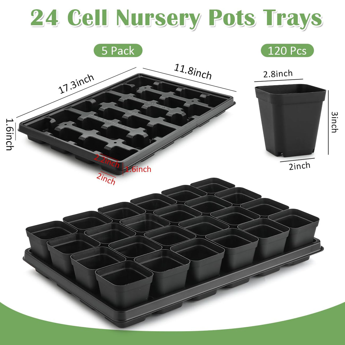 RooTrimmer square pots showing the 2-2 inch cell for seedling growth.