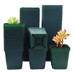 RooTrimmer square green pots for seedlings with drainage, ideal for early growth