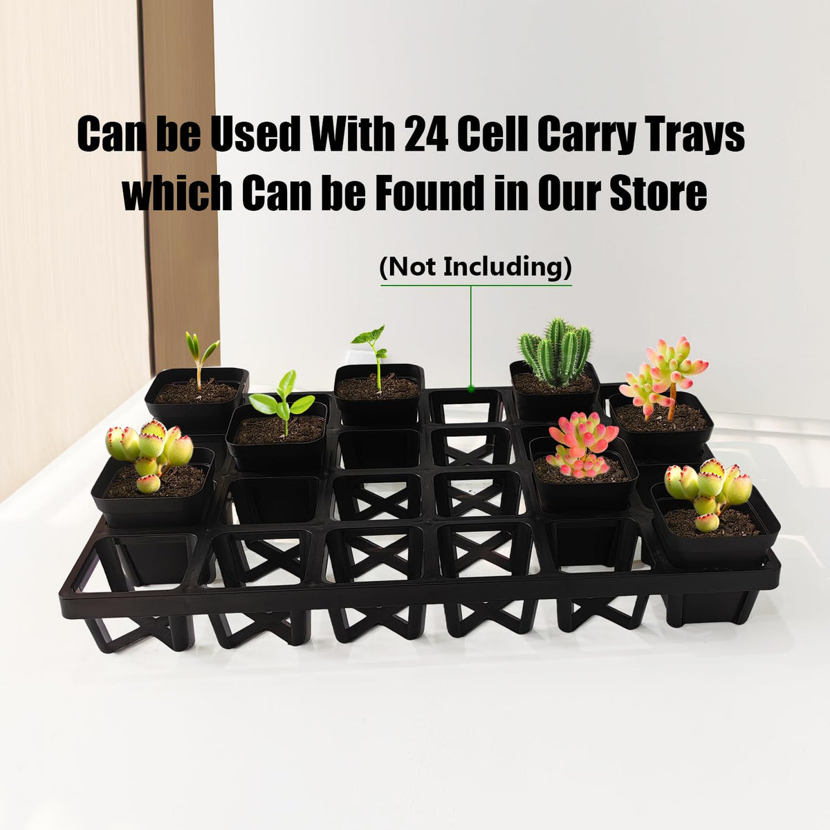 RooTrimmer sturdy square pot compatible with seedling trays