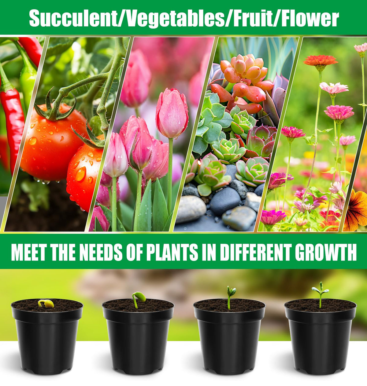RooTrimmer pot ideal for succulents, herbs, and small indoor plants.