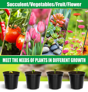 RooTrimmer pot ideal for succulents, herbs, and small indoor plants.