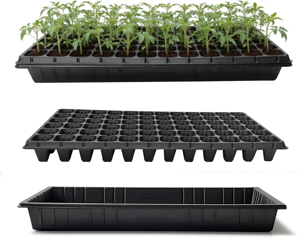 RooTrimmer TD538 tray top view for stable seed starting setup