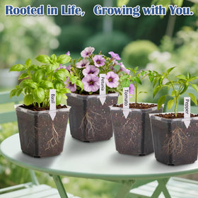 RooTrimmer thick transparent plastic pot for sturdy plant support