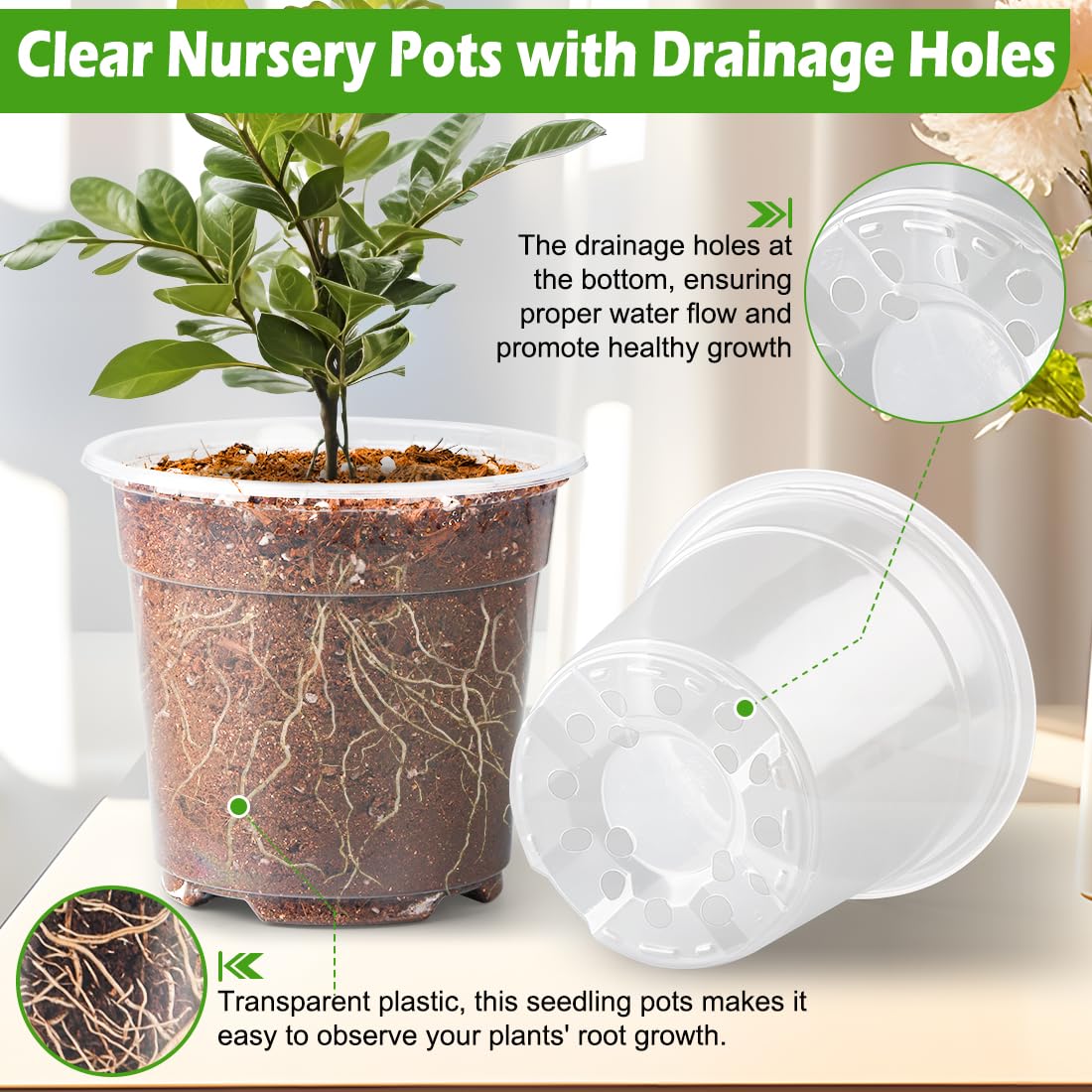 RooTrimmer transparent design lets you easily monitor root development and soil moisture.