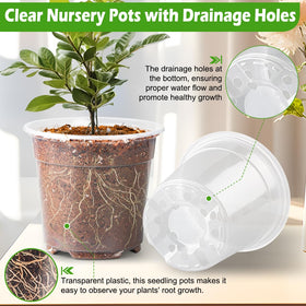 RooTrimmer transparent design lets you easily monitor root development and soil moisture.